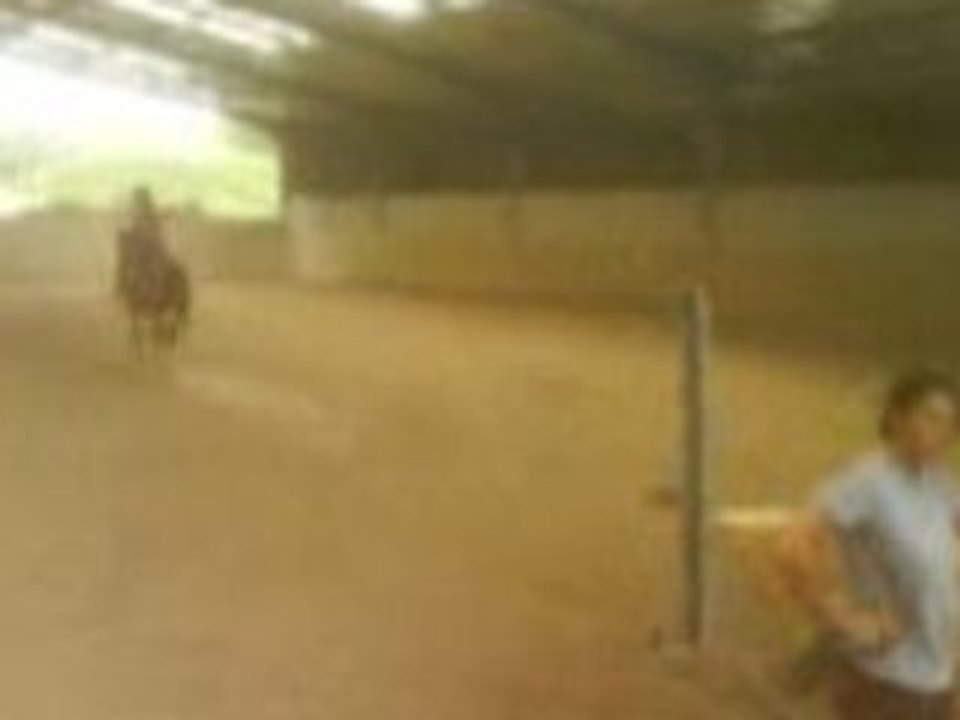 Sauts des poneys et des chevaux du Treuil