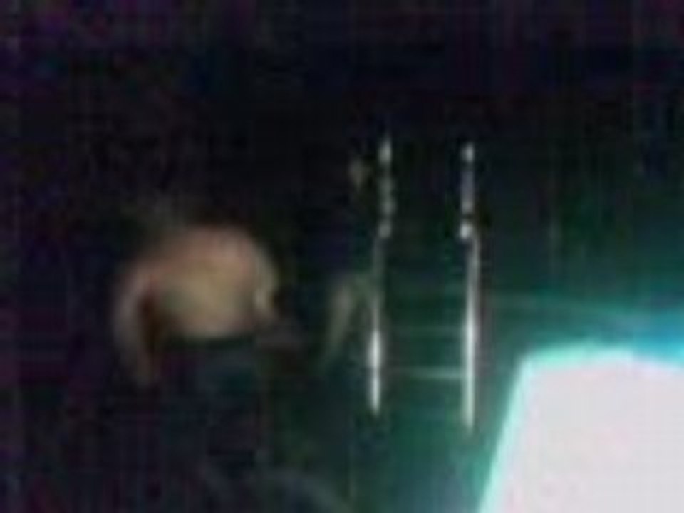 Vidéo003