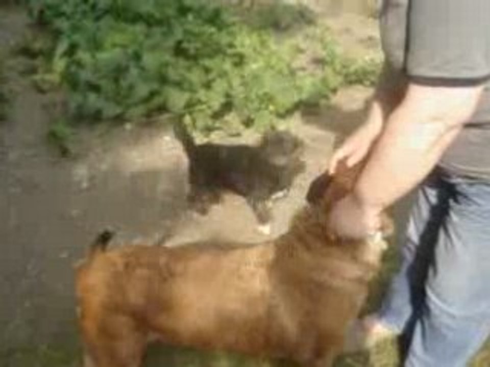 MOV04258