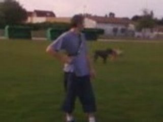 boonty e baghera les 2 soeur cane corso de 19 mois