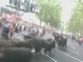 100 Taureaux Beaucaire 25-07-08 N°1