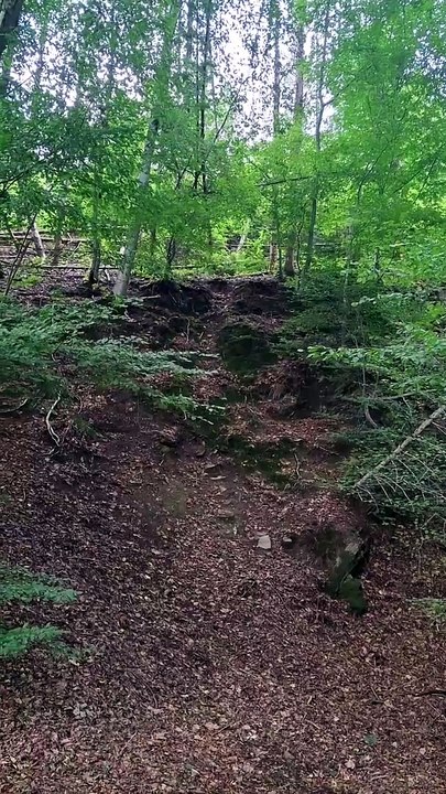 Ausflug in die Napoleon Zeit