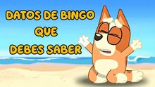 Cosas que no sabías de Bingo en Bluey