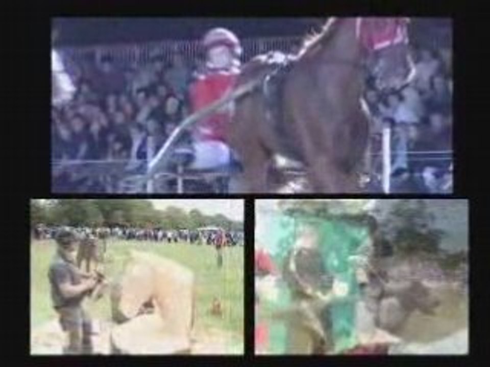 Fête de la Chasse et de la Pêche