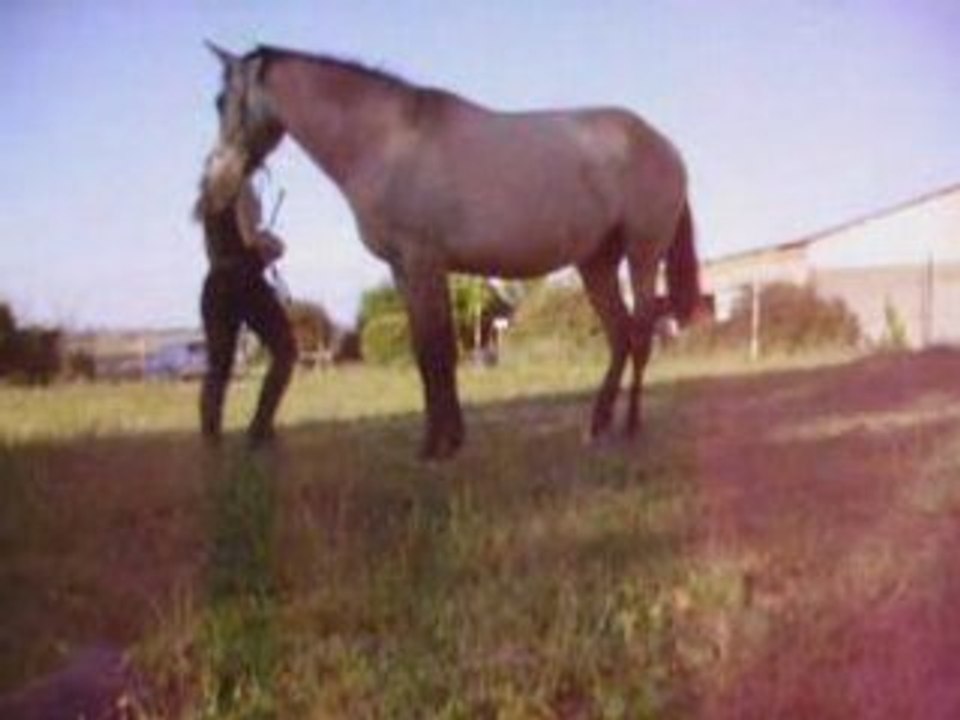 26 juillet 2008