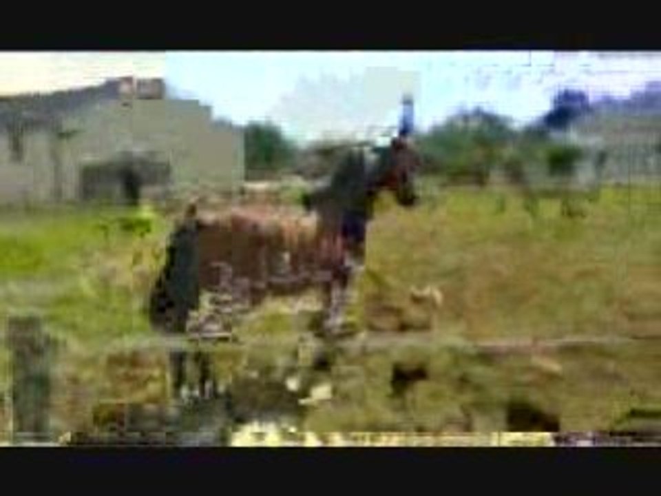 Mon lou qui fait le fou