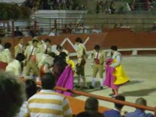 Corrida portugaise beaucaire 2008