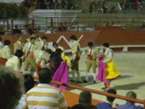 Corrida portugaise beaucaire 2008