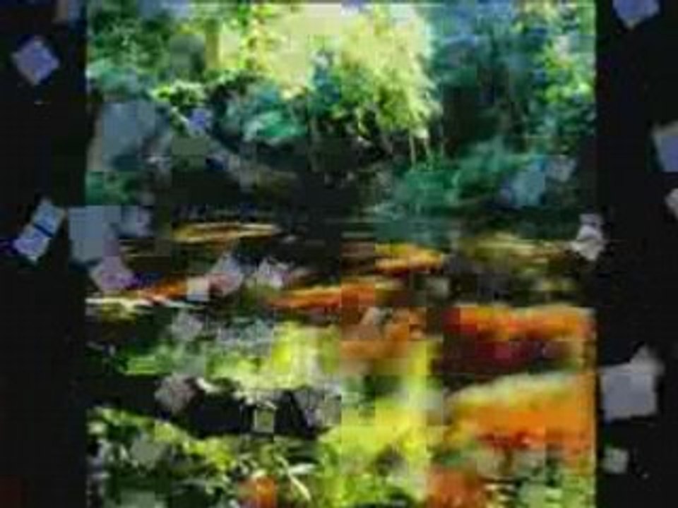 Les merveilles de la nature