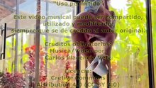 SINFONIA DE UN CORAZON HERIDO