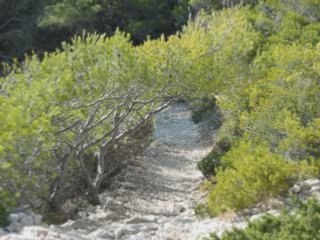 The Landscape is Changing - Depeche Mode