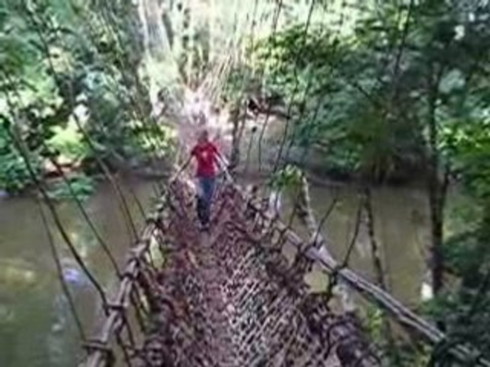 10/10/2004 - Val sur le pont de lianes de Konipara (Guinée)
