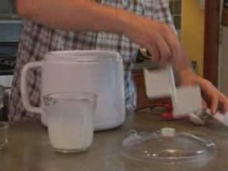 No Cook Vanilla Ice Cream