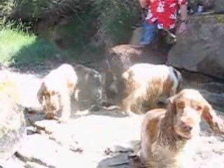 Ildut 22.07.08 092