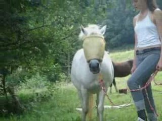 Nalha mini parcours