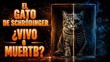 El gato de Schrödinger: ¿qué es realmente la realidad?