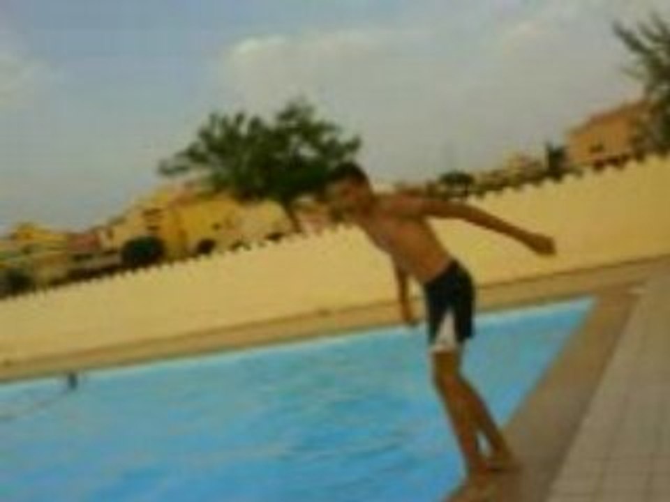 dany plonge