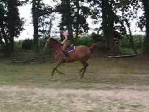 Nouba Galop à gauche été 2008