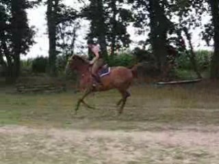 Nouba Galop à gauche été 2008