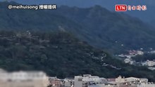 超壯觀！台中太平喜見「萬鷺朝鳳」 民驚嘆：以為異形攻進地球