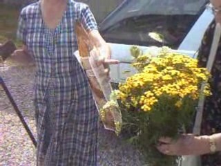 Maman arrive avec Marie le 27 juillet 2008 Thiefosse