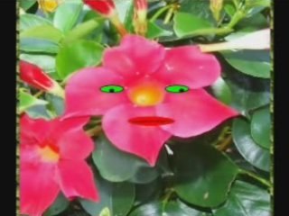 Le Chat et la Petite Souris !