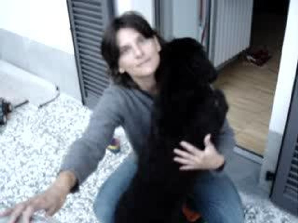 lola.video