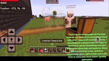 The Wonders Of The Raidercraft SMP