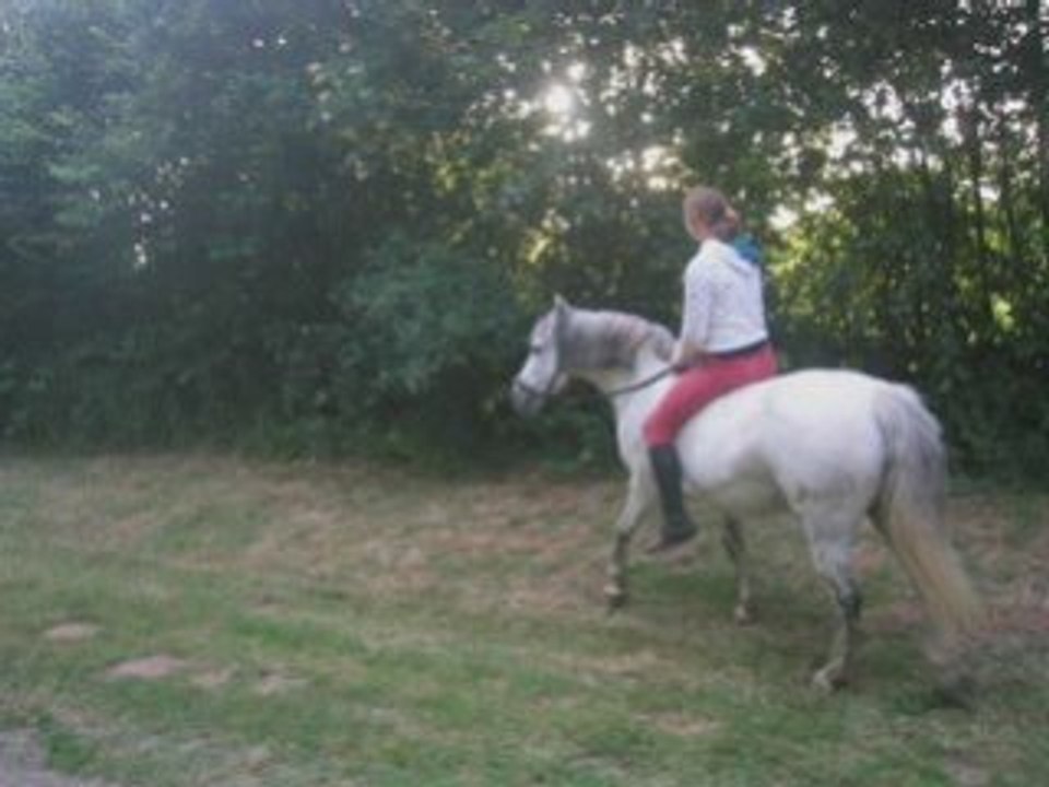 Dans les bois'_0001