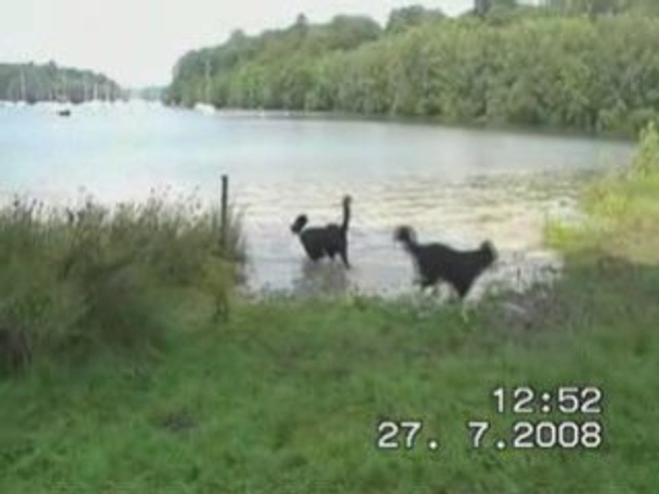 Barrages 2
