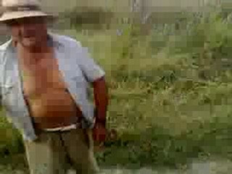 berger espagnol