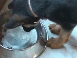 ma petite toutoune DRAISINE quand les mange