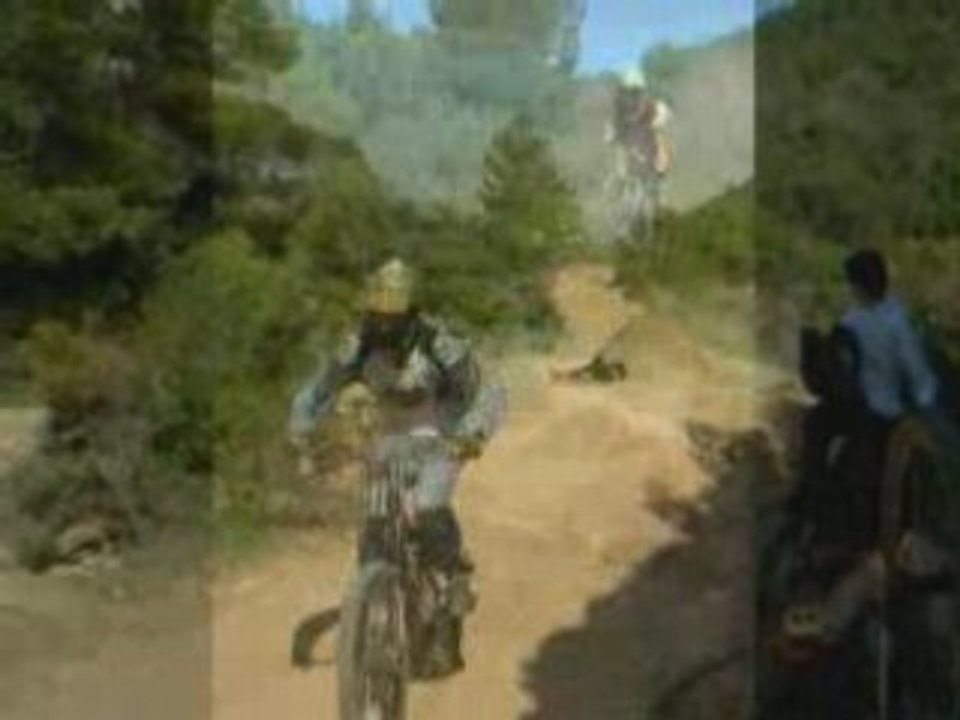 Fifilo 2007