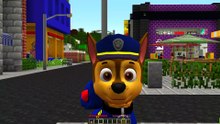 CHASE DE PAW PATROL DESCUBRE A SKYE EMBARAZADA EN MINECRAFT 😱