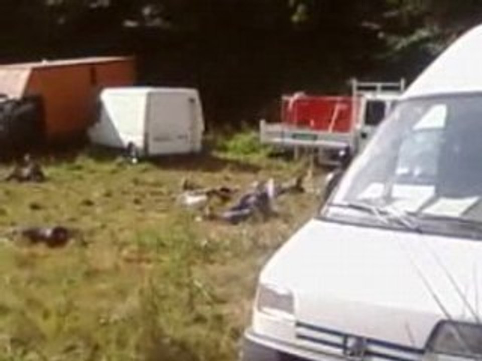 teuf intrepid-architekt