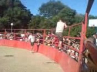 Tauraux piscine  Bréau 1