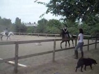 Orus galop 3