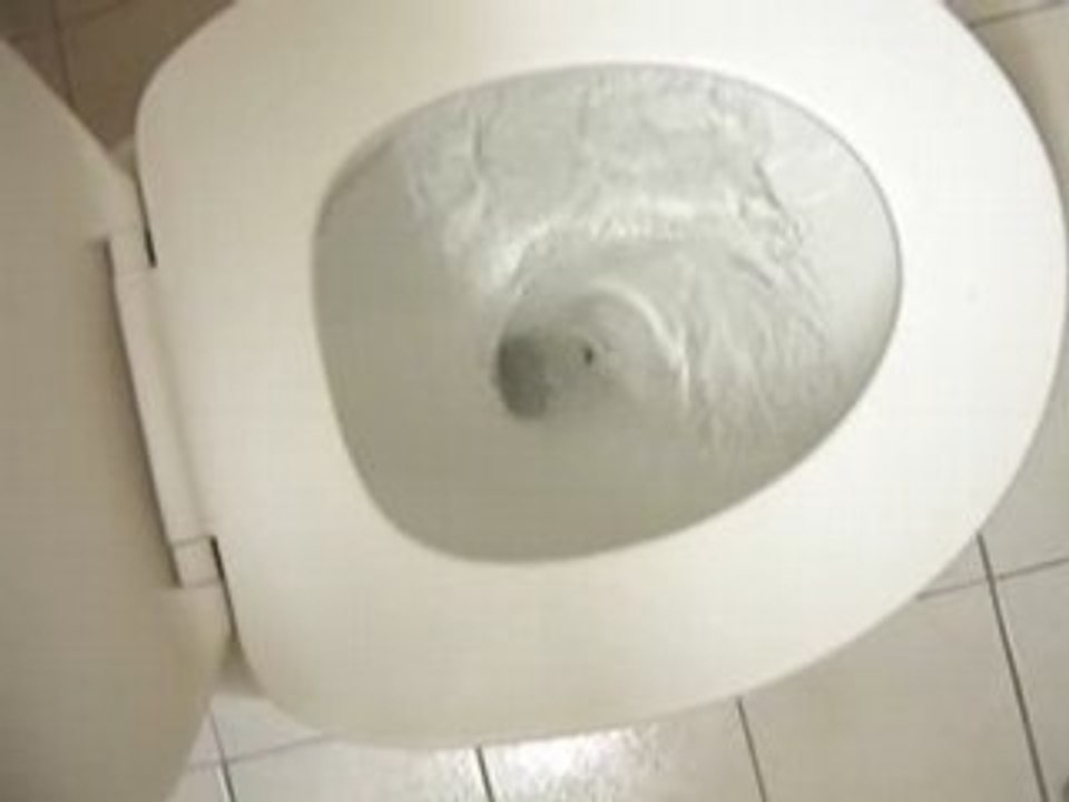 La chasse d'eau américaine