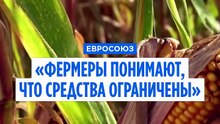 Еврокомиссия не выделит дополнительных средств для пострадавших от потери урожая фермеров