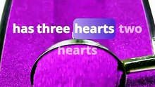 This Animal Has 3 Hearts! 😱🐙 | Mind-Blowing Animal Fact