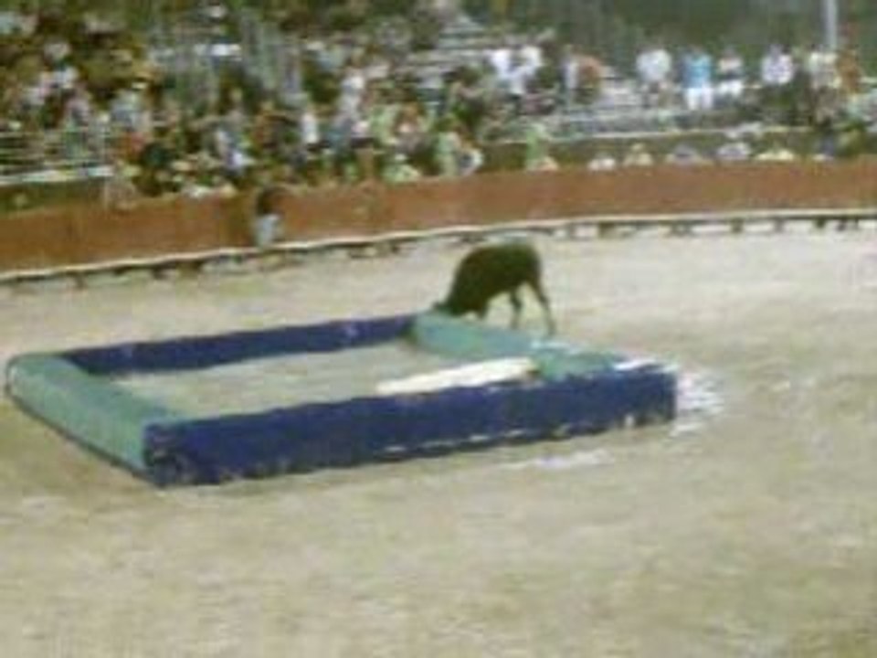 IMAG0002