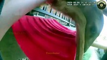 Un faon coincé dans une cloture rendu à sa maman