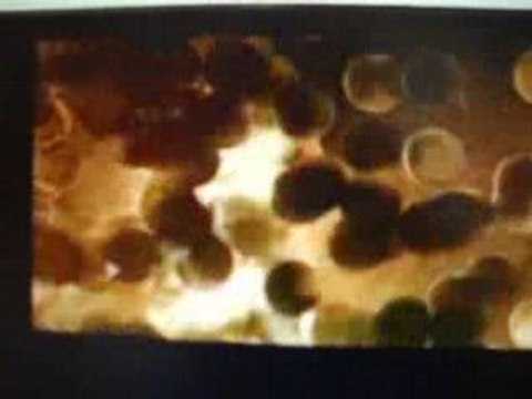 explication aventures fort boyard 2008