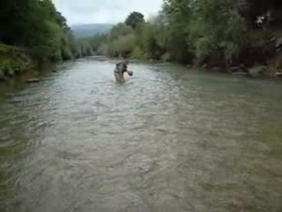 Guier  nymphe au fil