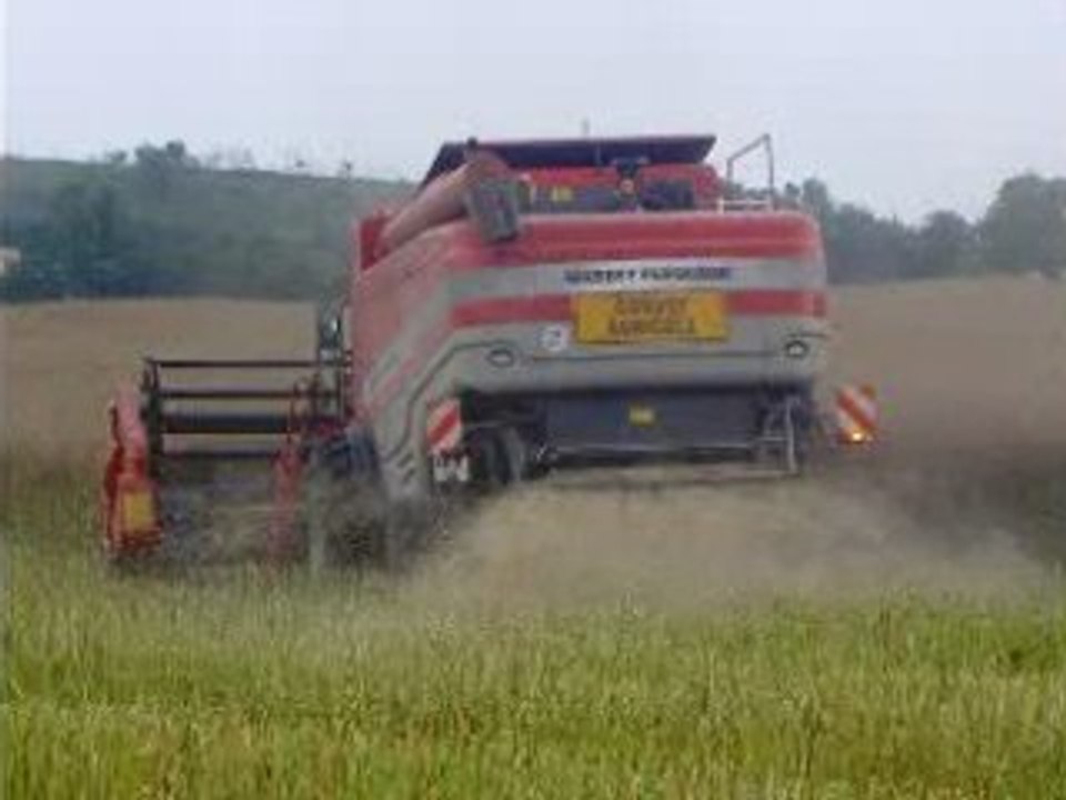 Moisson 2008 colza de tspark55