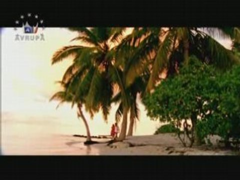 Mahsun kırmızıgül - sarı sarı