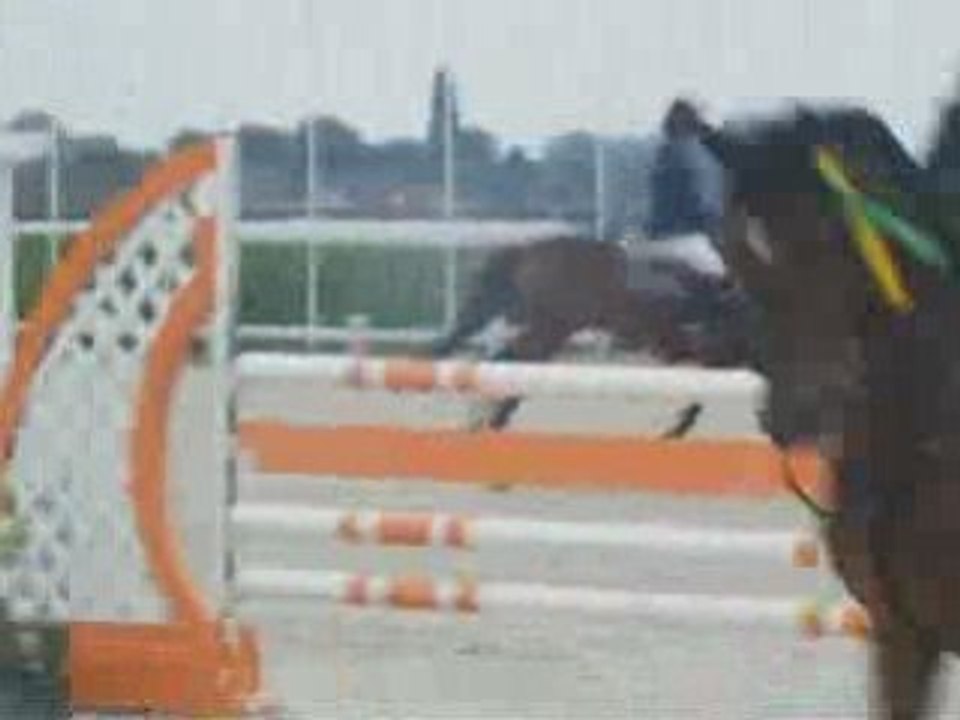 Marina et Ranonkel ==> Tour d'honneur