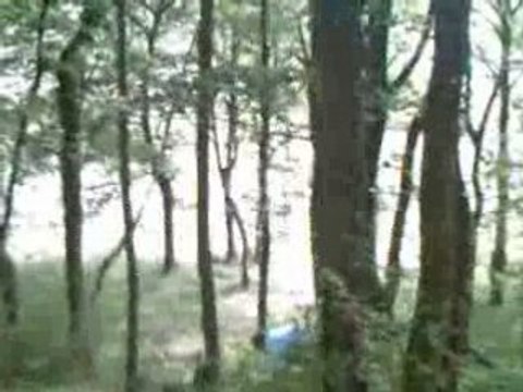 Chute mortel a vélo!!!!!!