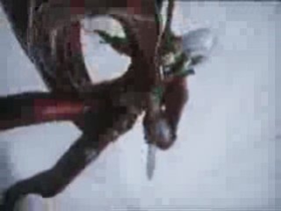 Devil may cry-amv live