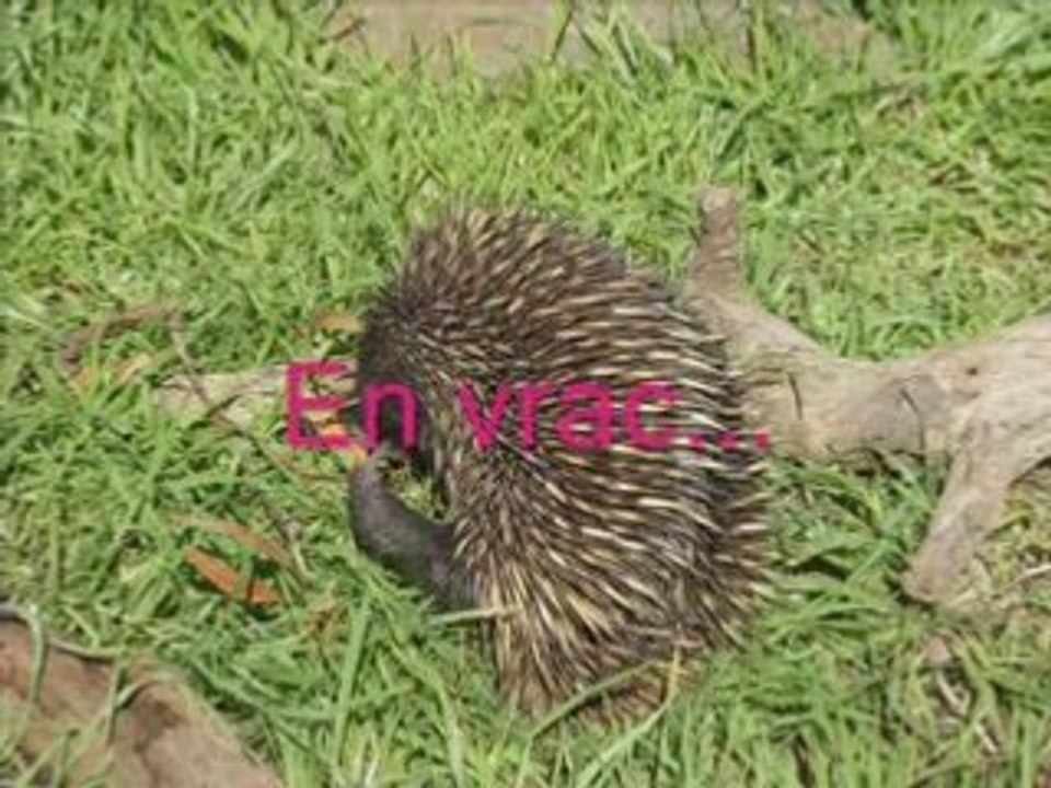 Reste_2